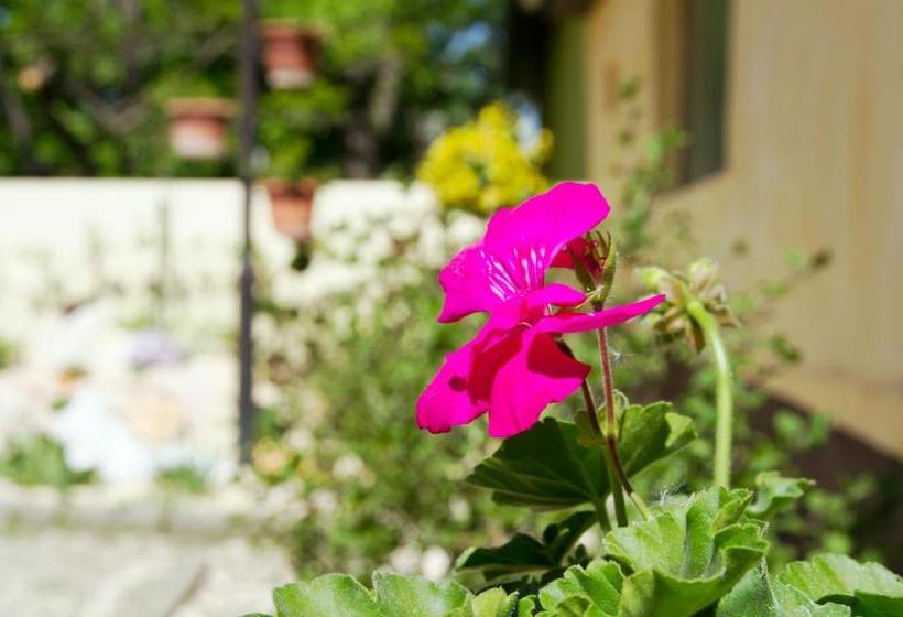 Sóvirág Termál Panzió