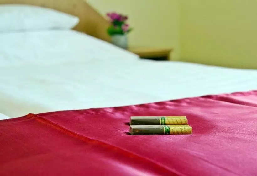 Sóvirág Termál Panzió