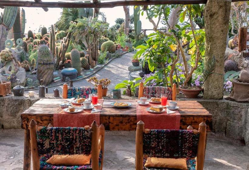 Villa Ravino Secret Retreat