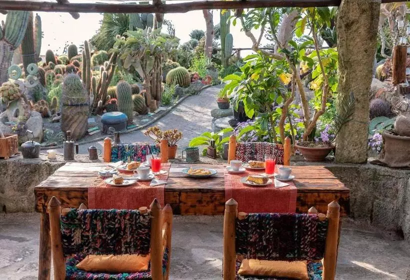 Villa Ravino Secret Retreat