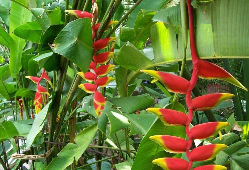 Szálló Posada El Jardin