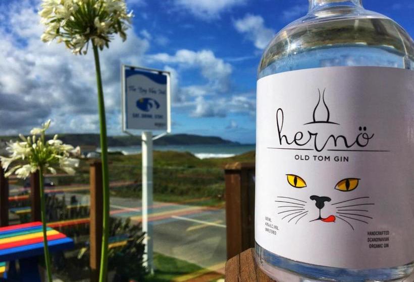 فندق صغير The Bay View Inn