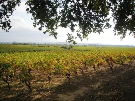 پانسیون Chateau Du Comte