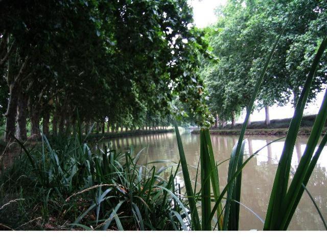 膳宿费 Chateau Du Comte