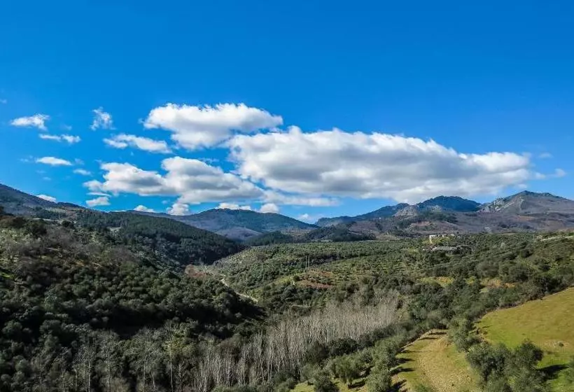 Majatalo Hostal Altamira Guadalupe