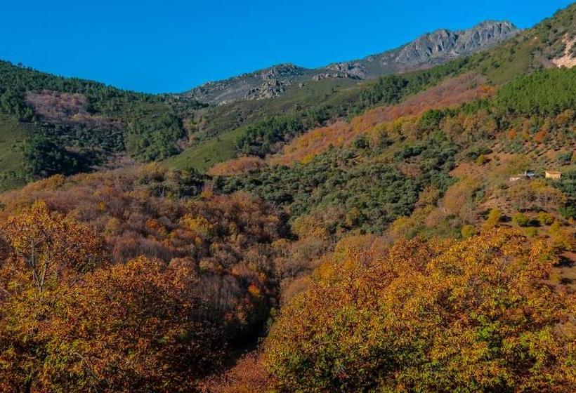 ペンション Hostal Altamira Guadalupe