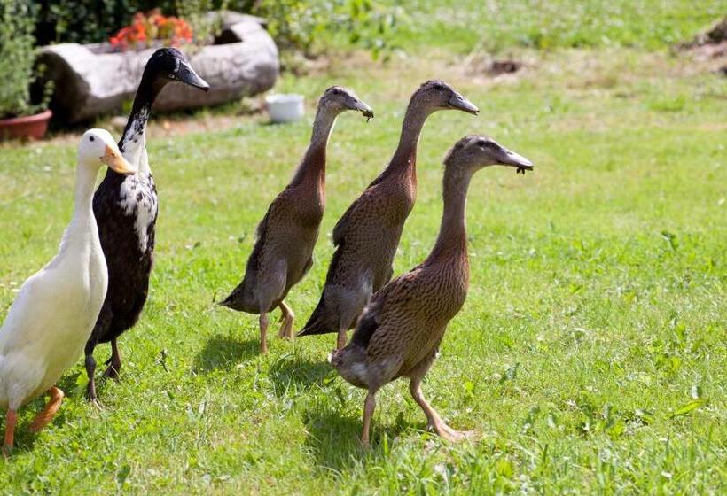 Пансион Landhotel Trakehnerhof