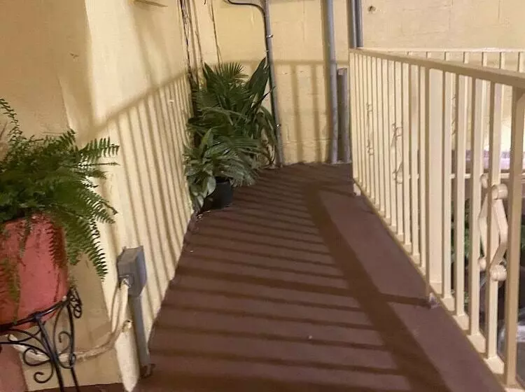 Majatalo Midtown Guest House