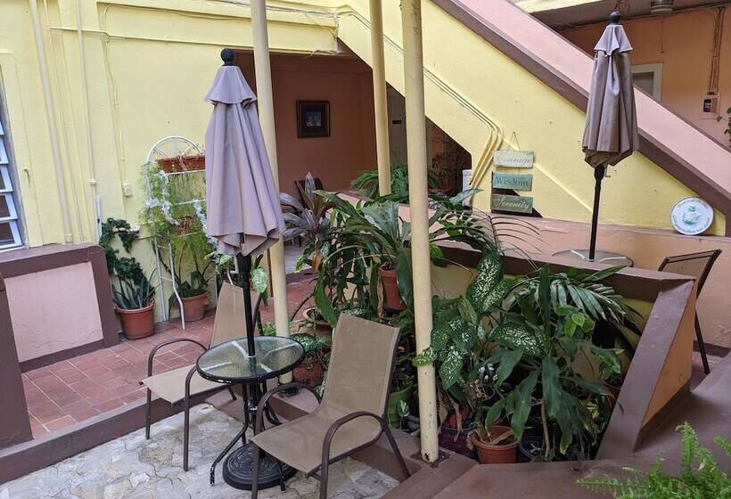 펜션 Midtown Guest House