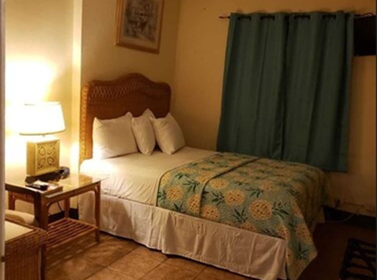 펜션 Midtown Guest House