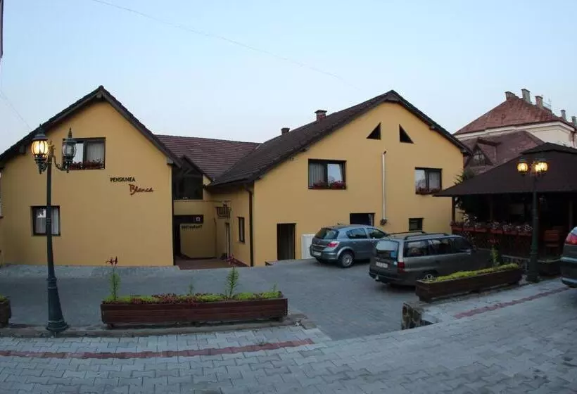 Pensiunea Blanca