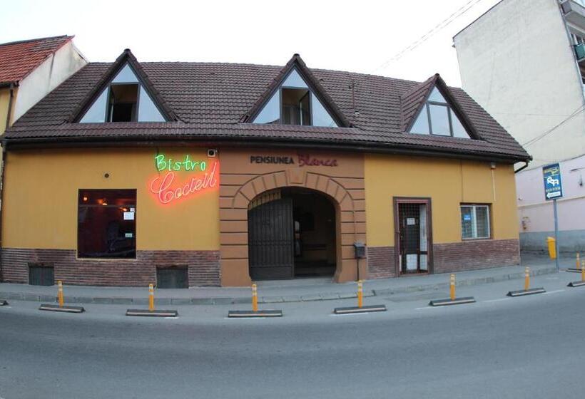 Pensiunea Blanca