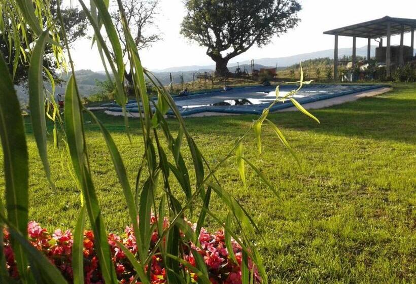 Отель Agriturismo Santa Chiara