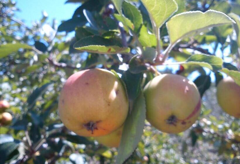 Отель Agriturismo Santa Chiara