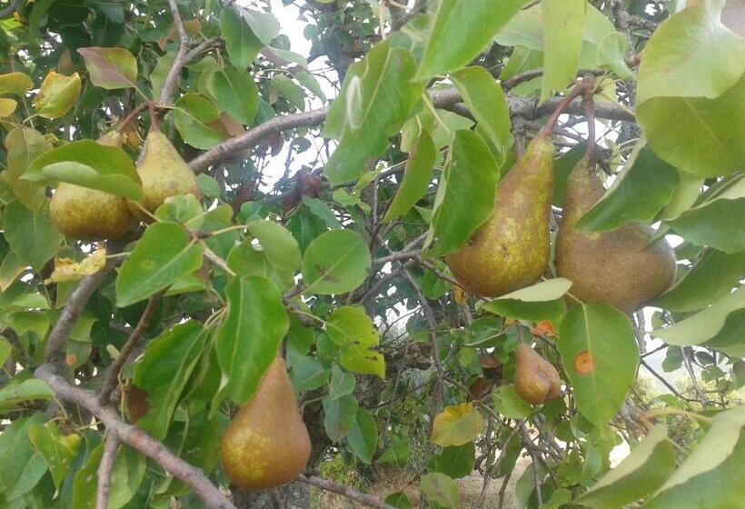 Отель Agriturismo Santa Chiara