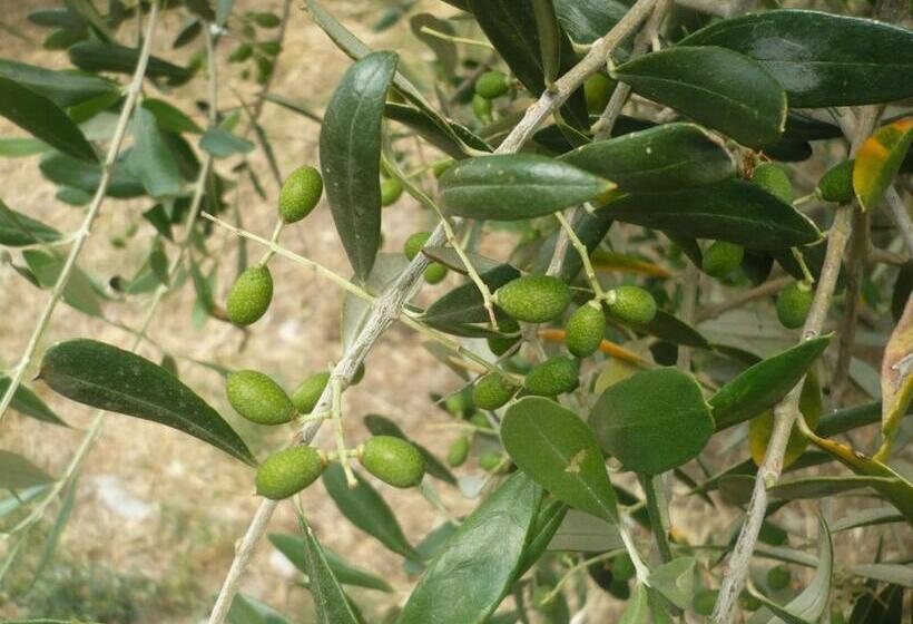 Отель Agriturismo Santa Chiara