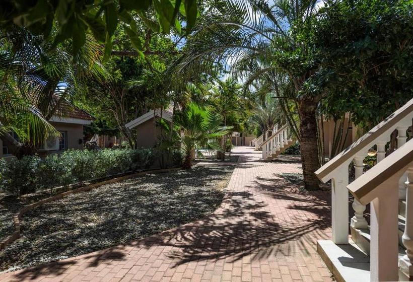 Marquee Apartments Aruba