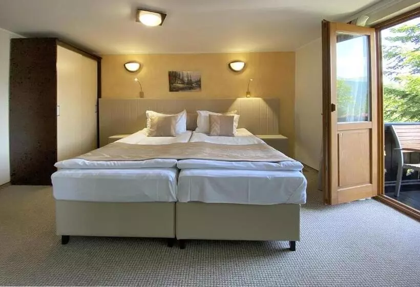 پانسیون Cabana Schiori