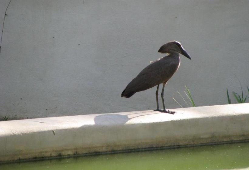 بنسيون De Langenhof Guest House