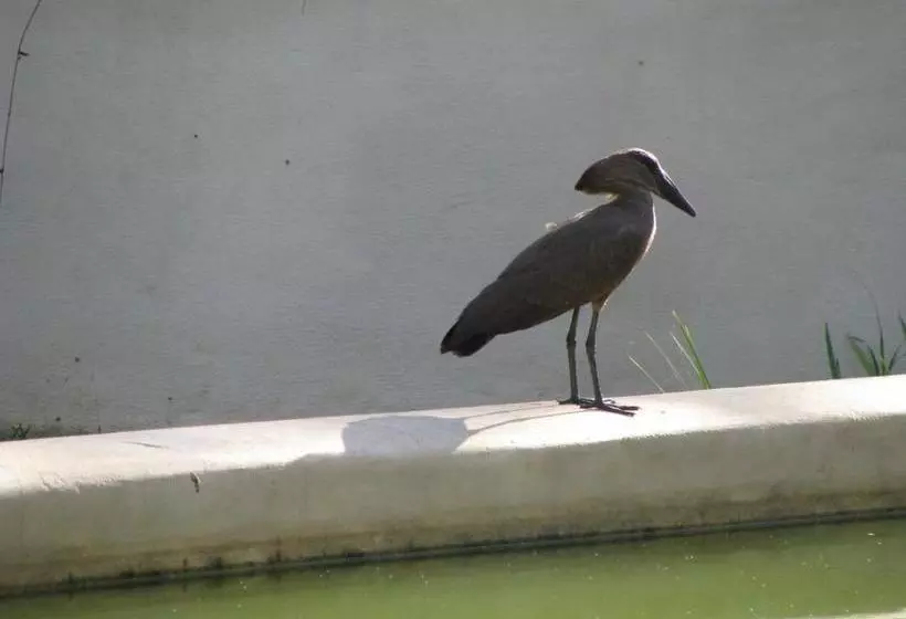 ペンション De Langenhof Guest House