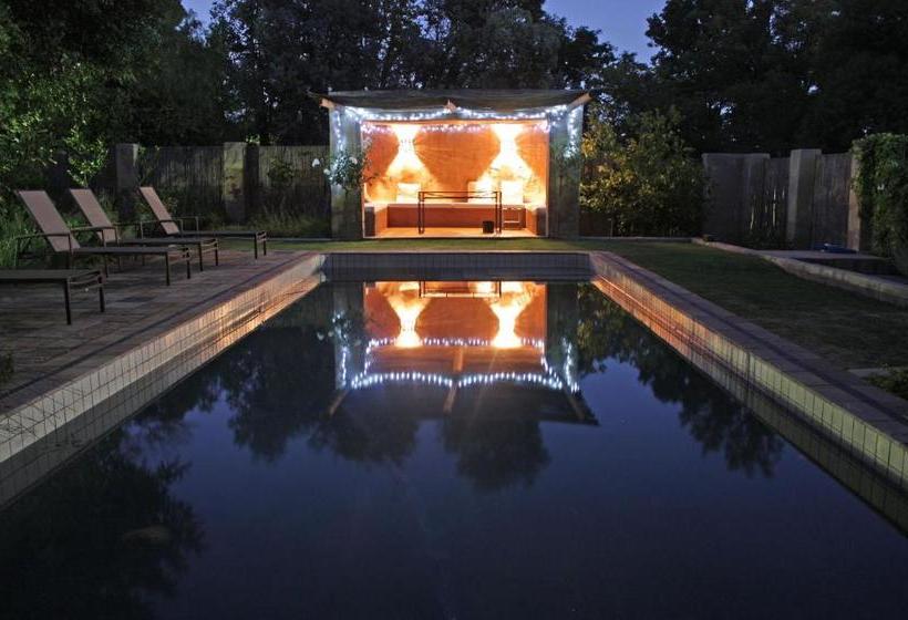 بنسيون De Langenhof Guest House