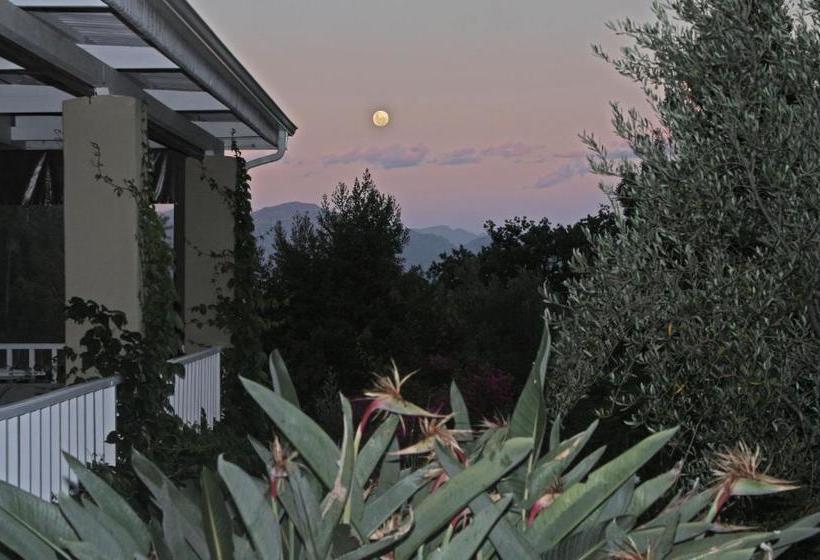 بنسيون De Langenhof Guest House