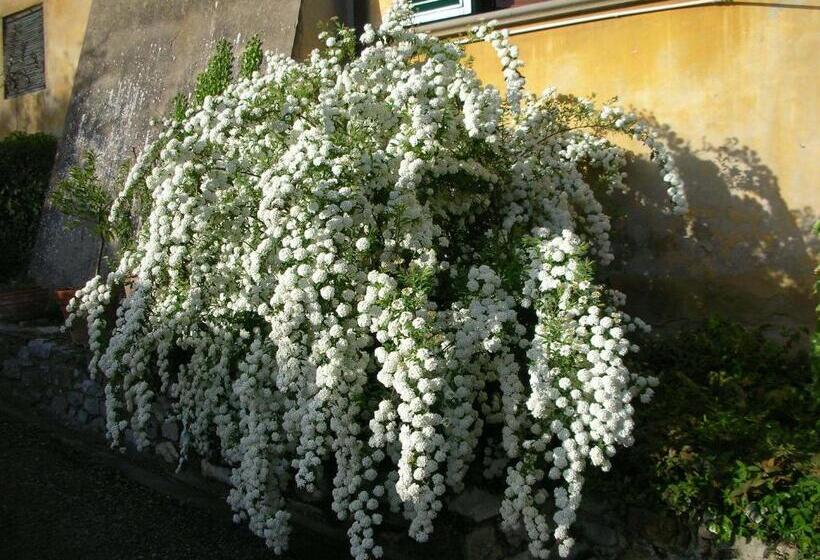 Pensionat Locanda Giolica