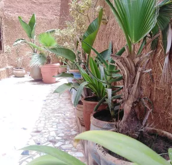 Majatalo Mirleft Tayought Guest House