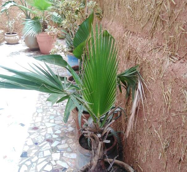 Пансион Mirleft Tayought Guest House