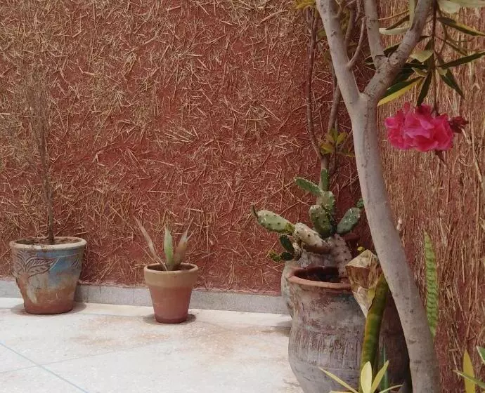 Majatalo Mirleft Tayought Guest House