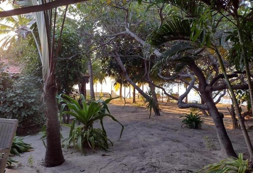 Pension Oceano Atins