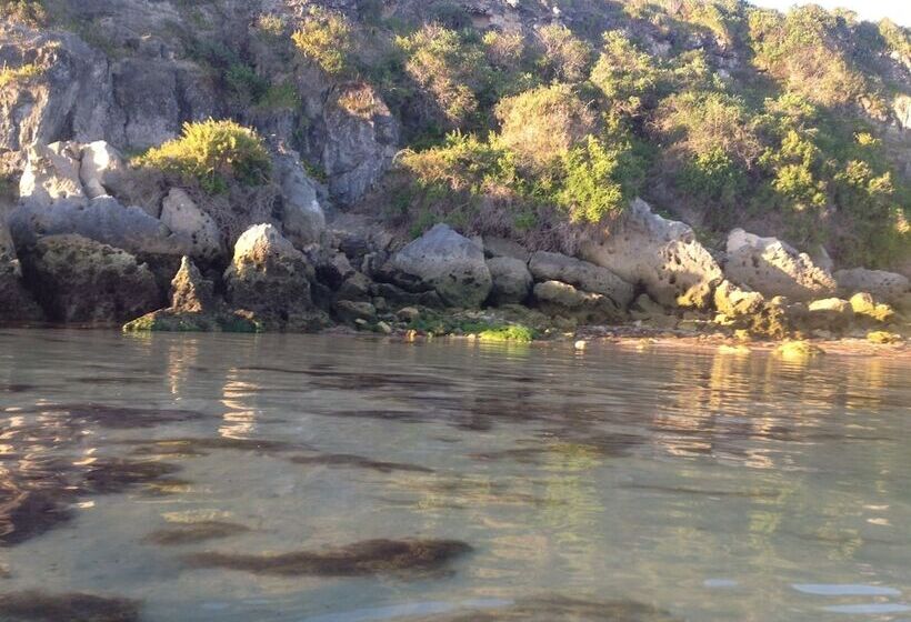 פנסיון Sandra's Guest House