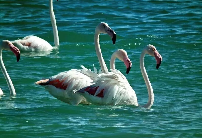 Majatalo Sandra's Guest House