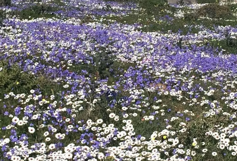 Majatalo Sandra's Guest House