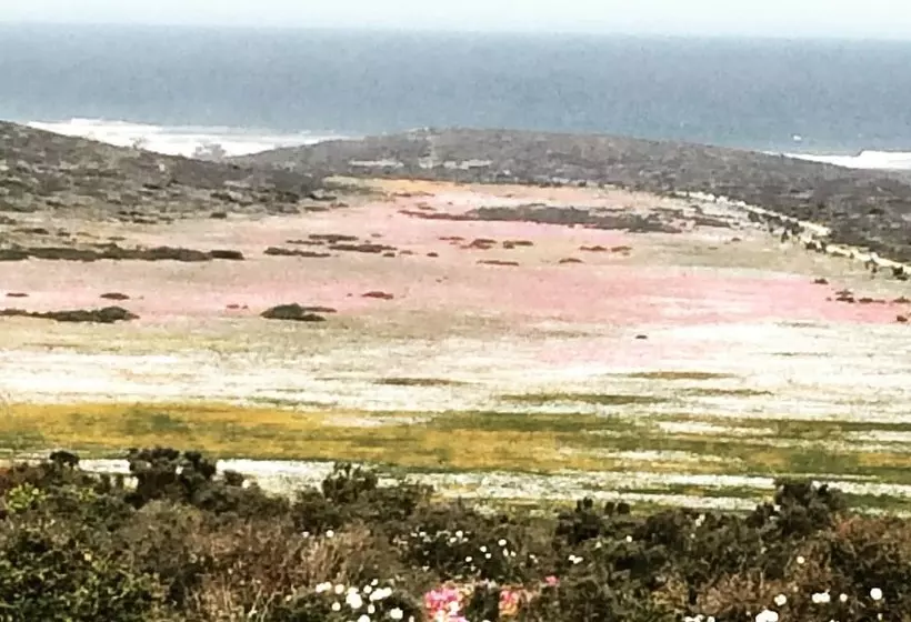 Majatalo Sandra's Guest House