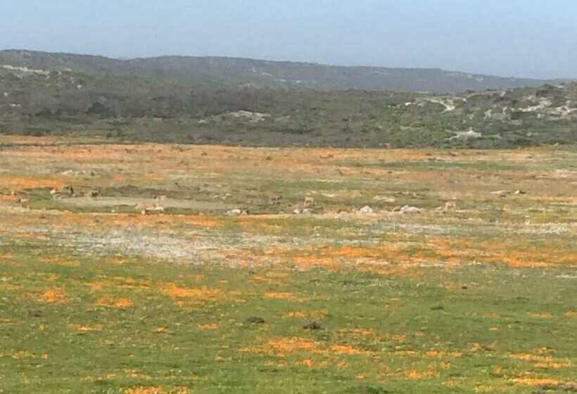 פנסיון Sandra's Guest House