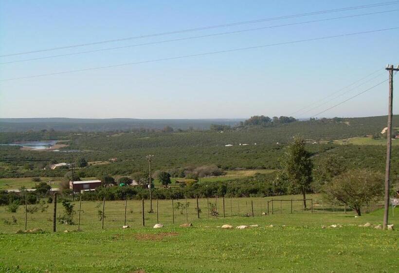 بنسيون The Hexagon Wildlife Conservation