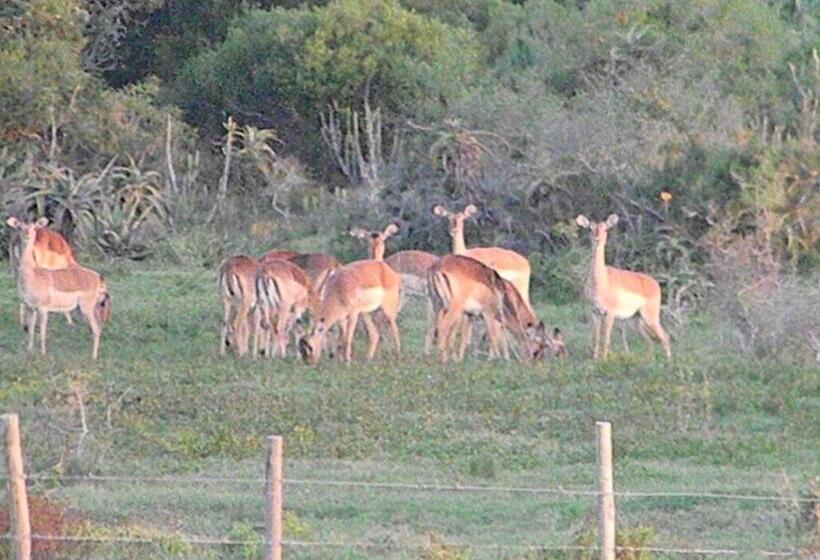 بنسيون The Hexagon Wildlife Conservation