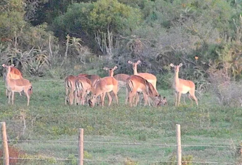 Majatalo The Hexagon Wildlife Conservation