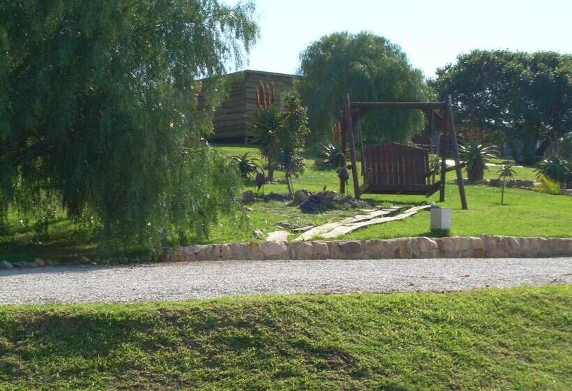 بنسيون The Hexagon Wildlife Conservation