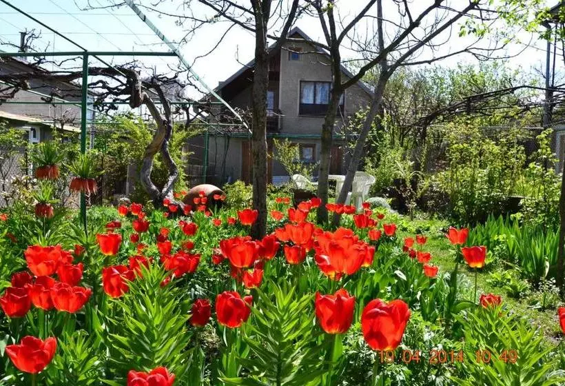 پانسیون Milorava's Guest House & Wine Cellar