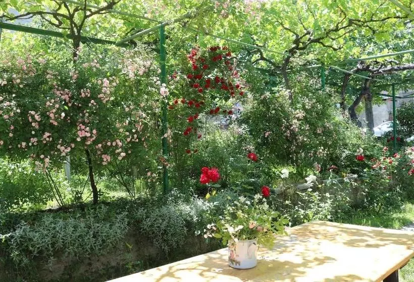 پانسیون Milorava's Guest House & Wine Cellar