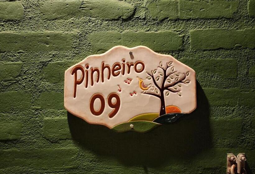 פנסיון Pousada A Mata Que Canta