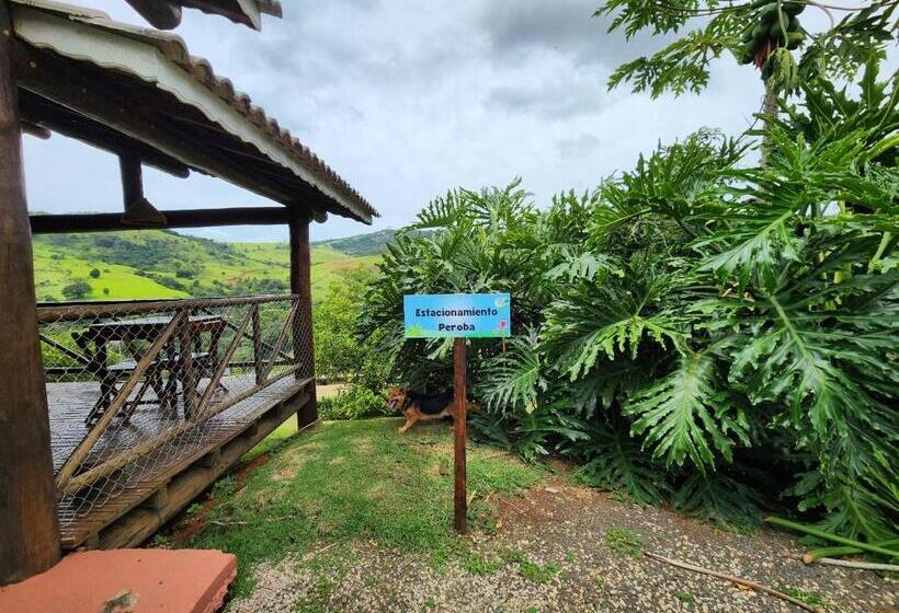 פנסיון Pousada A Mata Que Canta