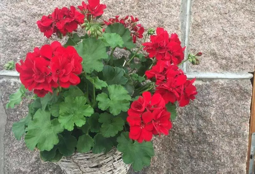 Majatalo Smögens Gästhem