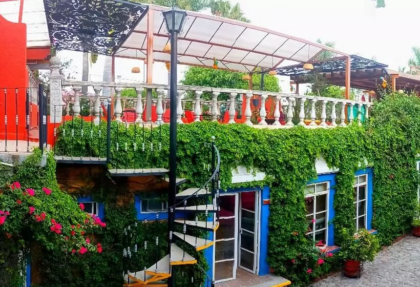 ホテル Mesón Yollotl