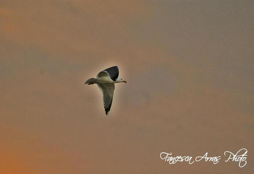 Residenze L Isola Surf House