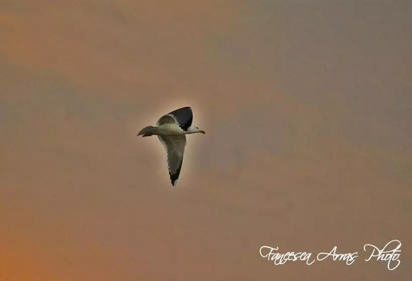 Residenze L Isola Surf House