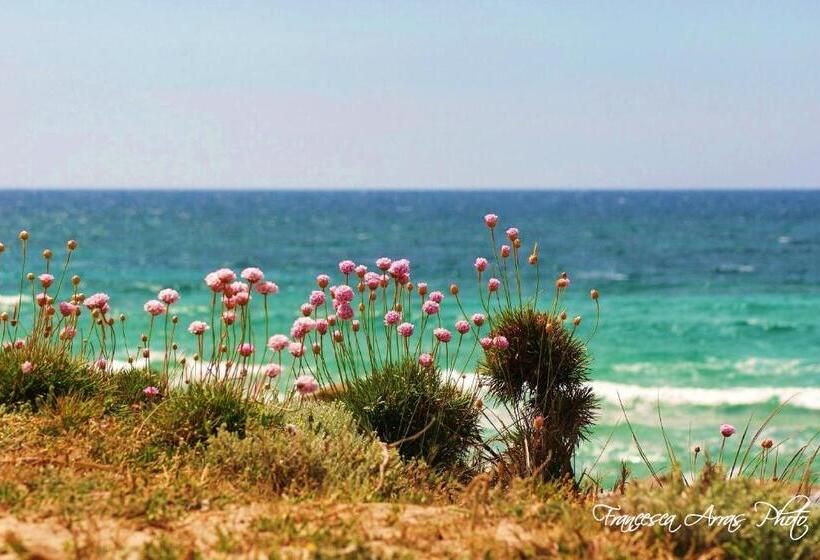 Residenze L Isola Surf House