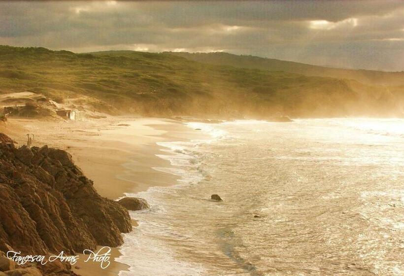 Residenze L Isola Surf House